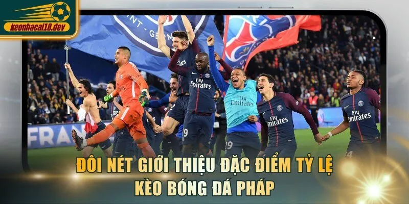 Đôi nét giới thiệu đặc điểm tỷ lệ kèo bóng đá Pháp